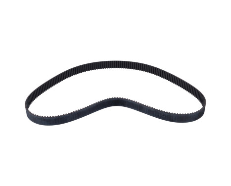 Timing Belt ADC47557 Blue Print