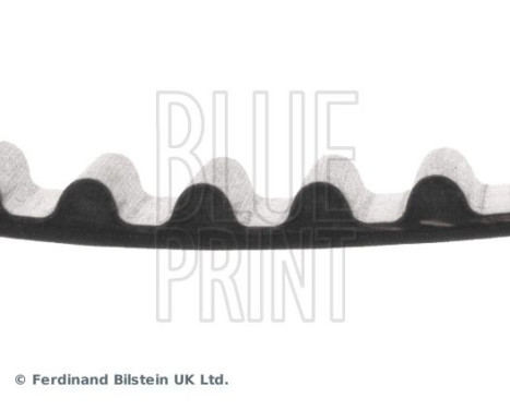 Timing Belt ADD67509 Blue Print, Image 4