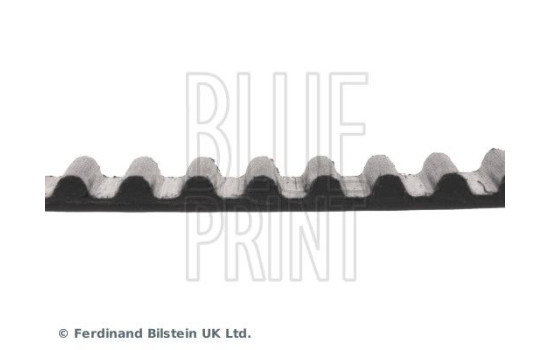 Timing Belt ADD67512 Blue Print, Image 4