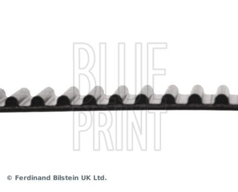 Timing Belt ADD67515 Blue Print, Image 4