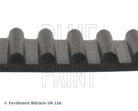 Timing Belt ADD67518 Blue Print, Image 4
