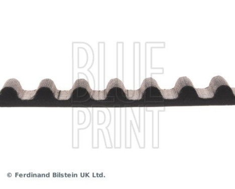 Timing Belt ADG07504 Blue Print, Image 4