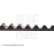 Timing Belt ADG07523 Blue Print, Thumbnail 4