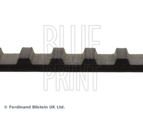 Timing Belt ADH27505 Blue Print, Image 4