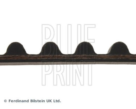 Timing Belt ADH27510 Blue Print, Image 4