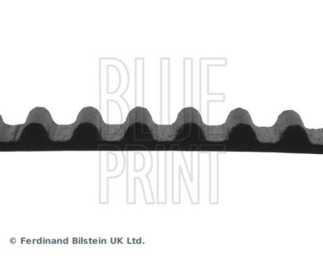 Timing Belt ADH27518 Blue Print, Image 4