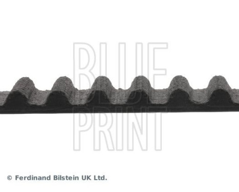 Timing Belt ADH27519 Blue Print, Image 4