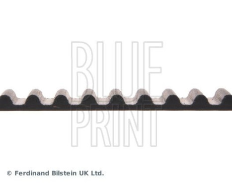 Timing Belt ADH27521 Blue Print, Image 4