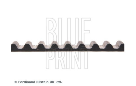 Timing Belt ADH27521 Blue Print, Image 4