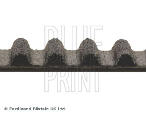 Timing Belt ADH27540 Blue Print, Image 4