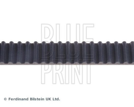 Timing Belt ADJ137504 Blue Print, Image 4