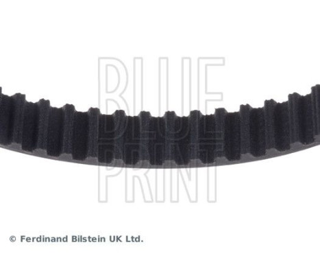 Timing Belt ADJ137505 Blue Print, Image 4