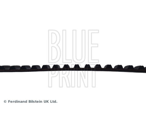 Timing Belt ADJ137508 Blue Print, Image 4