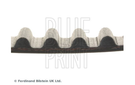 Timing Belt ADK87502 Blue Print, Image 4