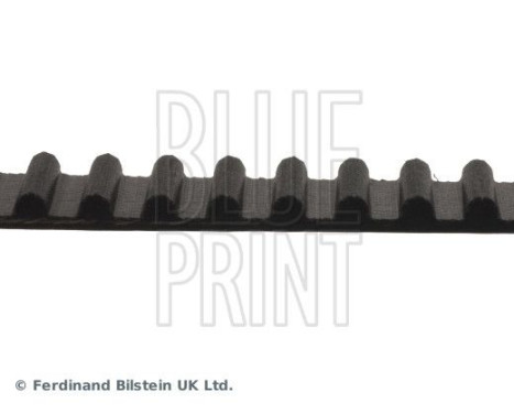 Timing Belt ADK87511 Blue Print, Image 4