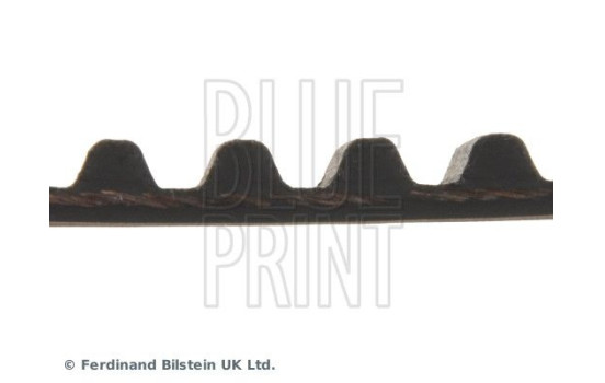 Timing Belt ADM57507 Blue Print, Image 4