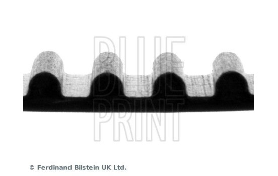 Timing Belt ADM57512 Blue Print, Image 4