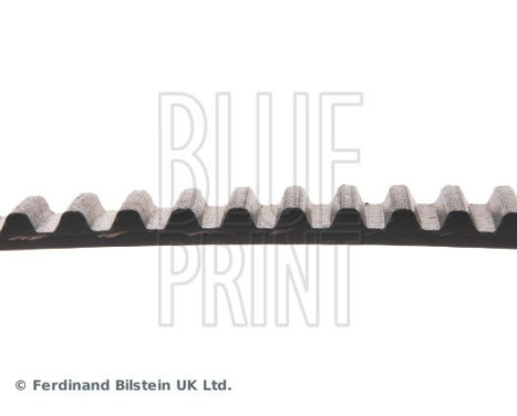 Timing Belt ADM57525 Blue Print, Image 4