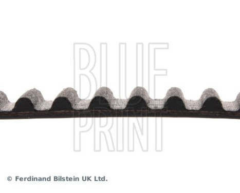 Timing Belt ADM57526 Blue Print, Image 4