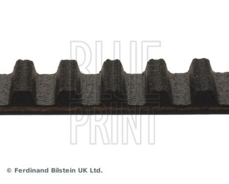 Timing Belt ADM57528 Blue Print, Image 4