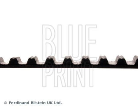 Timing Belt ADM57529 Blue Print, Image 4