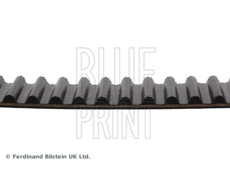 Timing Belt ADM57531 Blue Print, Image 4