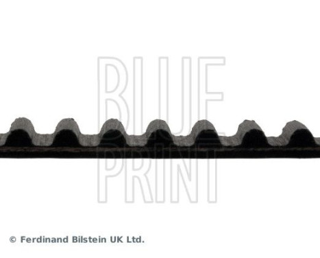 Timing Belt ADM57536 Blue Print, Image 4