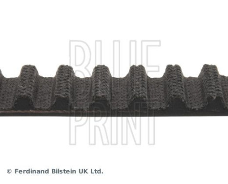 Timing Belt ADM57537 Blue Print, Image 4