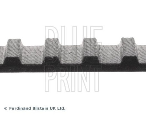 Timing Belt ADN17504 Blue Print, Image 4