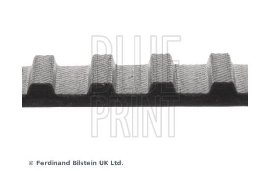 Timing Belt ADN17504 Blue Print, Image 4