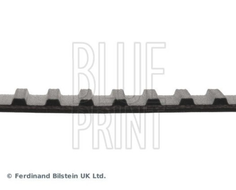 Timing Belt ADN17511 Blue Print, Image 4