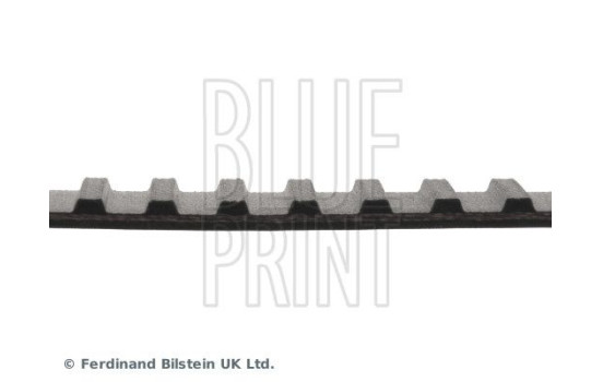 Timing Belt ADN17511 Blue Print, Image 4