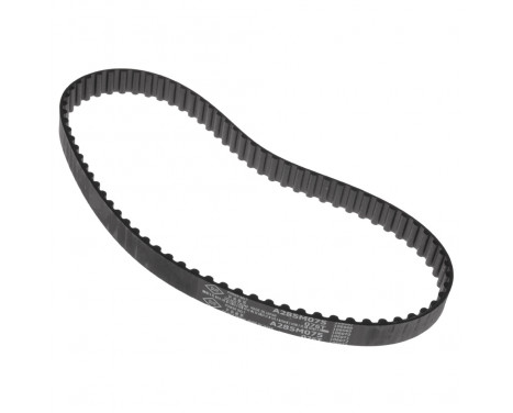 Timing Belt ADN17513 Blue Print