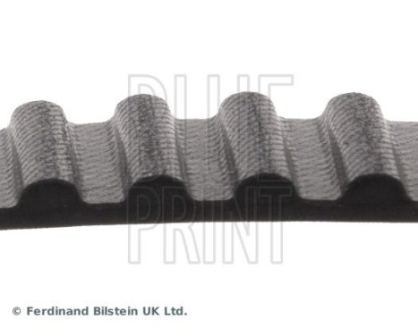 Timing Belt ADN17513 Blue Print, Image 4