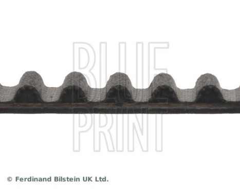 Timing Belt ADN17514 Blue Print, Image 4
