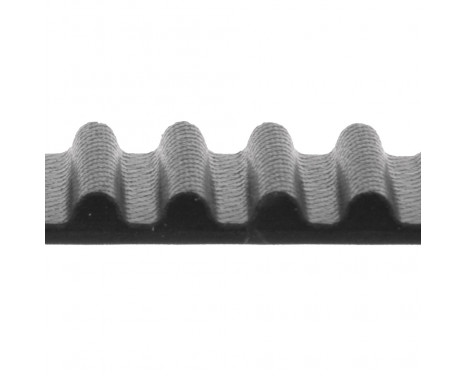 Timing Belt ADN17516 Blue Print, Image 2