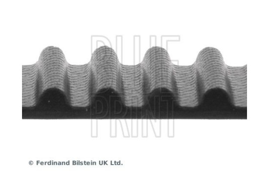 Timing Belt ADN17516 Blue Print, Image 4