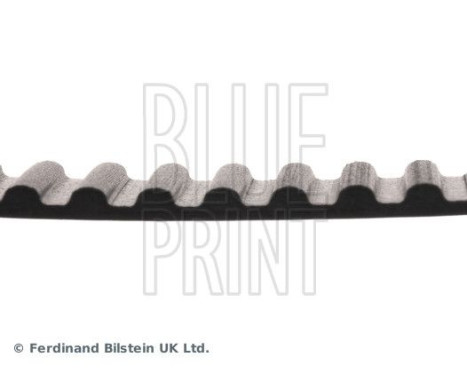 Timing Belt ADN17518 Blue Print, Image 4