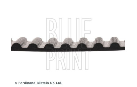 Timing Belt ADN17518 Blue Print, Image 4