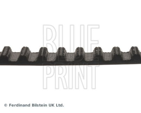 Timing Belt ADN17529 Blue Print, Image 4