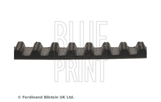 Timing Belt ADN17529 Blue Print, Image 4