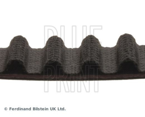 Timing Belt ADN17534 Blue Print, Image 4