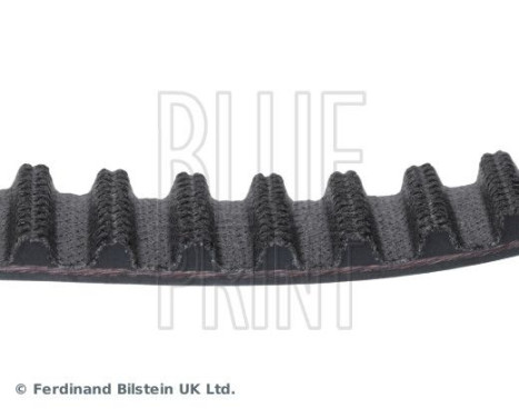 Timing Belt ADN17537 Blue Print, Image 4