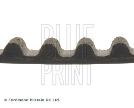 Timing Belt ADN17538 Blue Print, Image 4