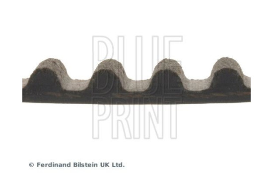 Timing Belt ADN17538 Blue Print, Image 4