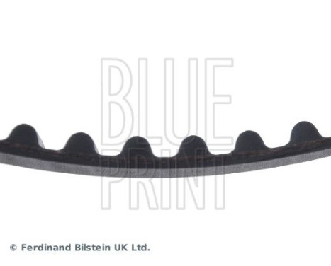 Timing Belt ADS77503 Blue Print, Image 4