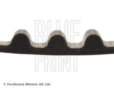 Timing Belt ADS77504 Blue Print, Image 4
