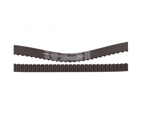 Timing Belt ADS77508 Blue Print, Image 2