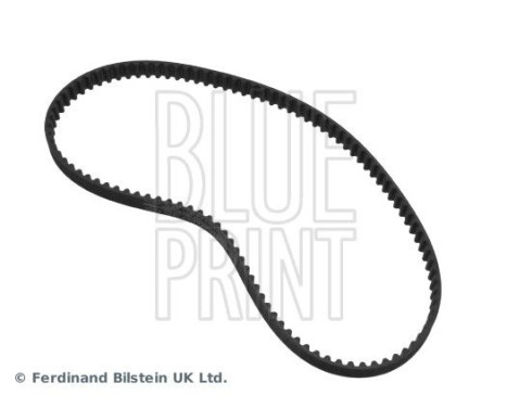 Timing Belt ADS77508 Blue Print, Image 3