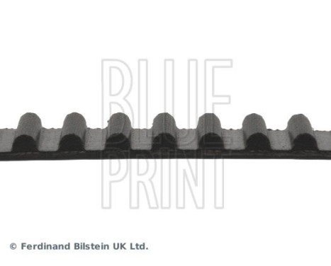 Timing Belt ADT37506 Blue Print, Image 4
